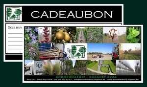 CADEAUBON 25 euro -