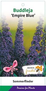 Buddleja d. 'Empire Blue' geen maat specificatie cont. 3,0L - afbeelding 4