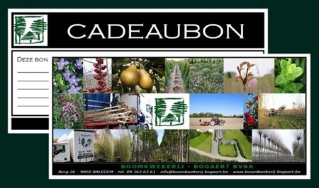 CADEAUBON 100 euro -